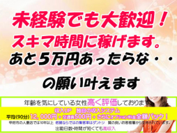 甲府・甲斐・韮崎 人妻デリヘル 山梨人妻デリバリーコレクション